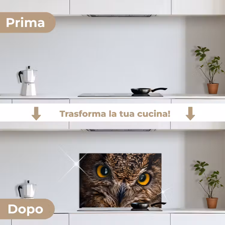 Paraschizzi cucina - Gufo - Animale - Arancione — 7