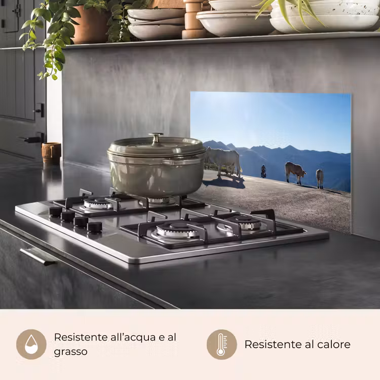 Paraschizzi cucina - Highlander scozzese - Luce - Montagna - Natura — 2