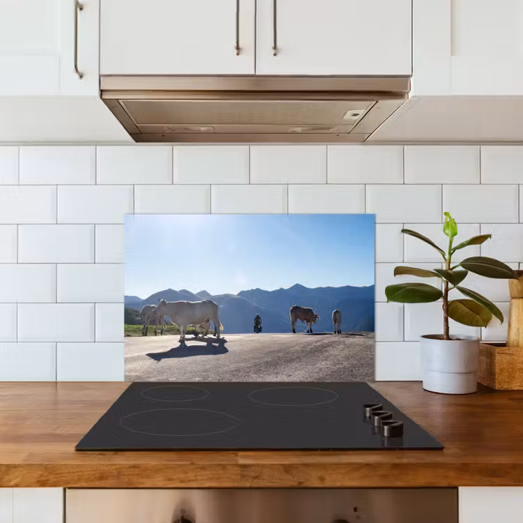 Paraschizzi cucina - Highlander scozzese - Luce - Montagna - Natura — 3