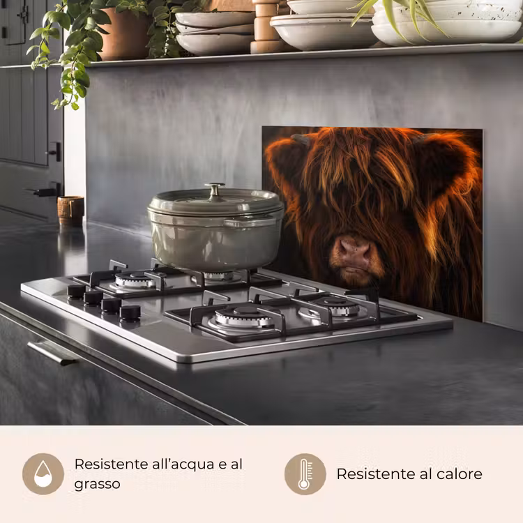 Paraschizzi cucina - Highlander scozzese - Mucca - Ritratto - Animali — 2