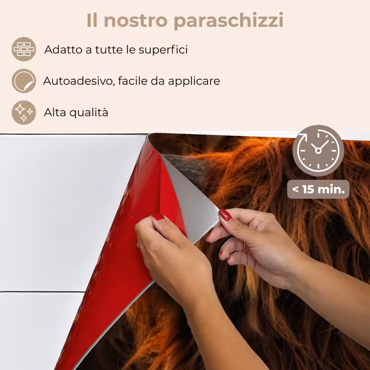 Paraschizzi cucina - Highlander scozzese - Mucca - Ritratto - Animali — 4