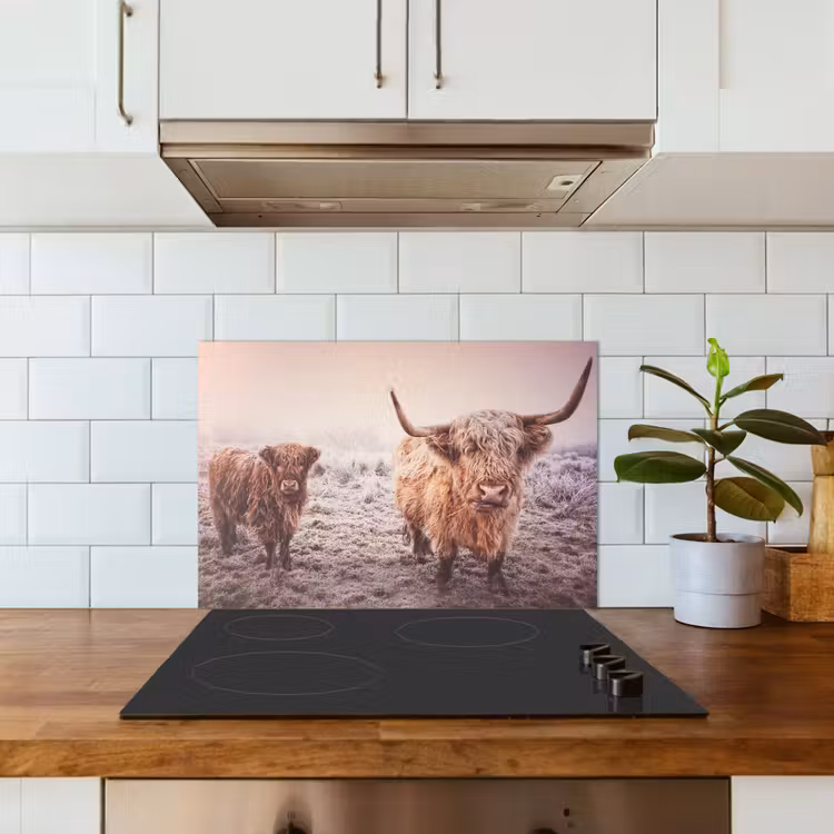 Paraschizzi cucina - Highlander scozzesi - Luce - Cielo - Natura — 3