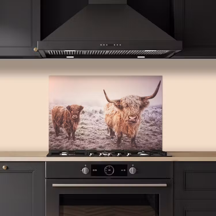 Paraschizzi cucina - Highlander scozzesi - Luce - Cielo - Natura — 5