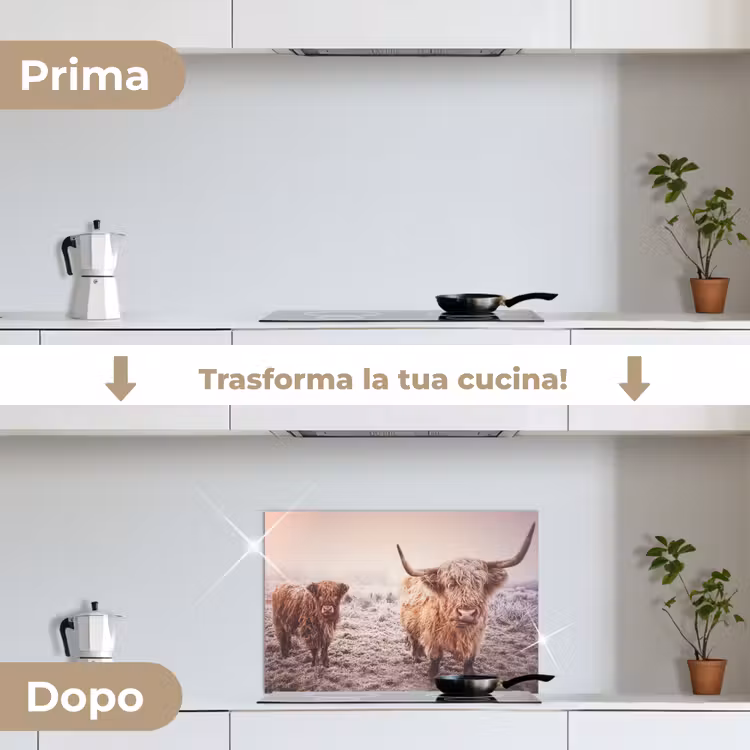 Paraschizzi cucina - Highlander scozzesi - Luce - Cielo - Natura — 7