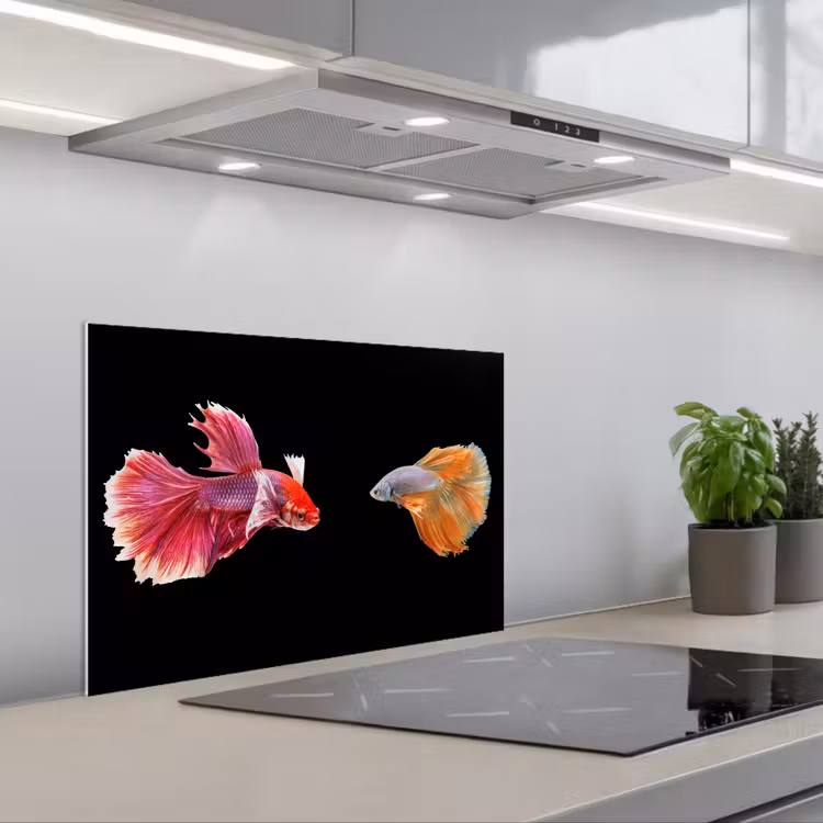 Paraschizzi cucina - Pesce - Colorato - Animali — 1