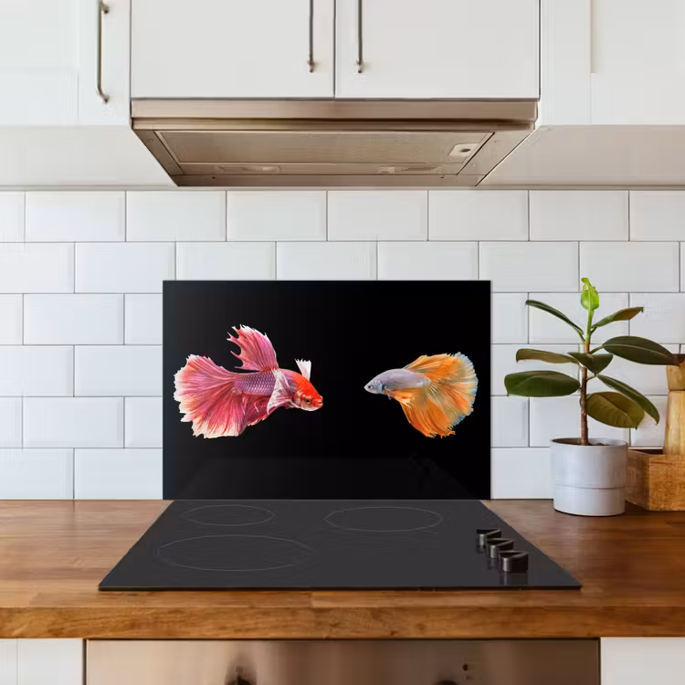 Paraschizzi cucina - Pesce - Colorato - Animali — 3