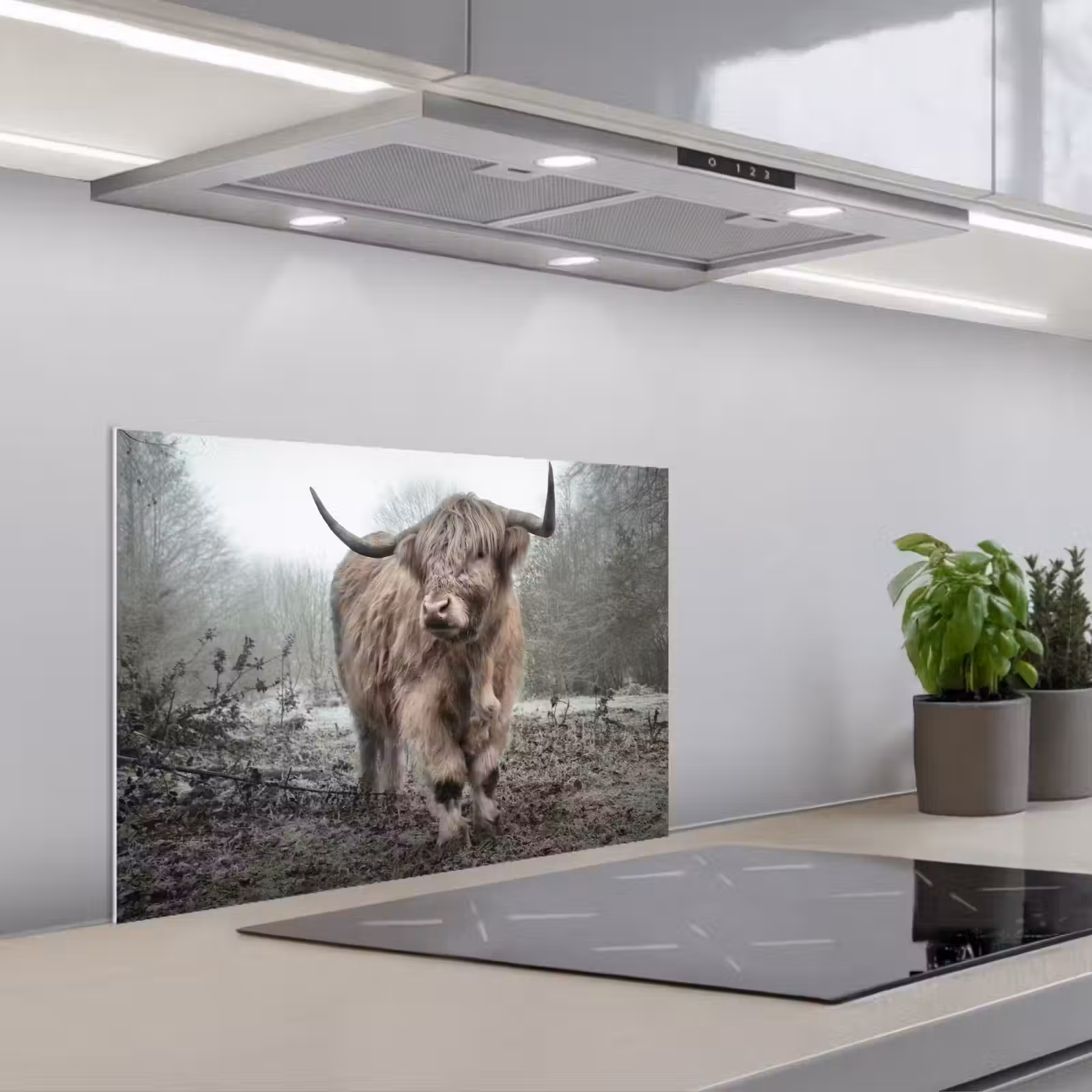 Paraschizzi cucina - Highlander scozzese - Foresta - Nebbia - Mucca - Animali - Natura — 1