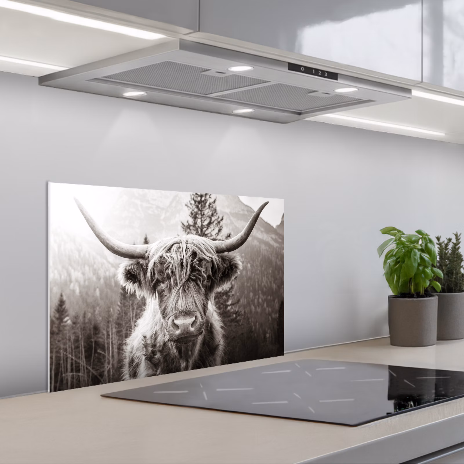 Paraschizzi cucina - Highlander scozzese - Mucca - Animali - Nero - Bianco — 1