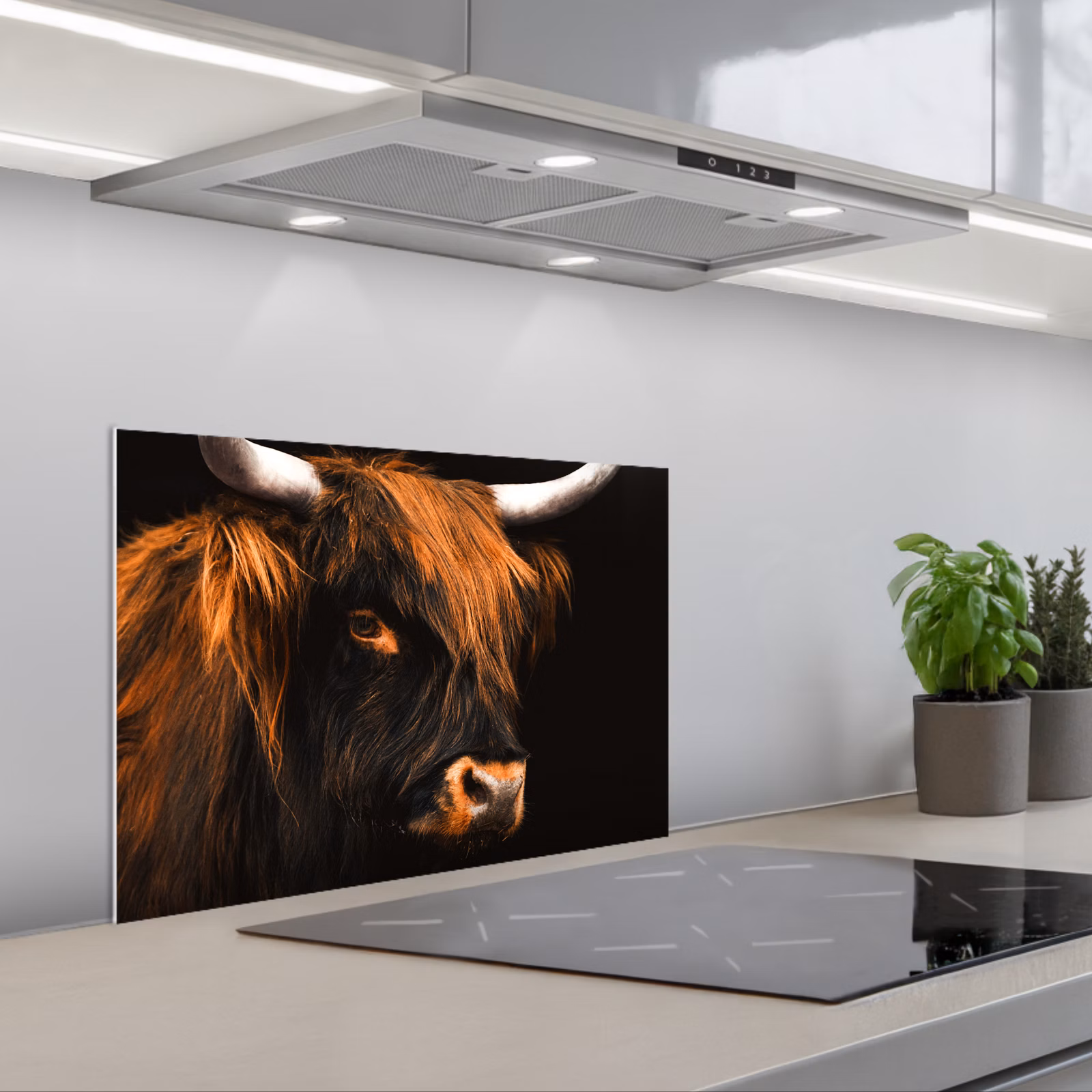 Paraschizzi cucina - Highlander scozzese - Nero - Mucca - Corno - Animali — 1