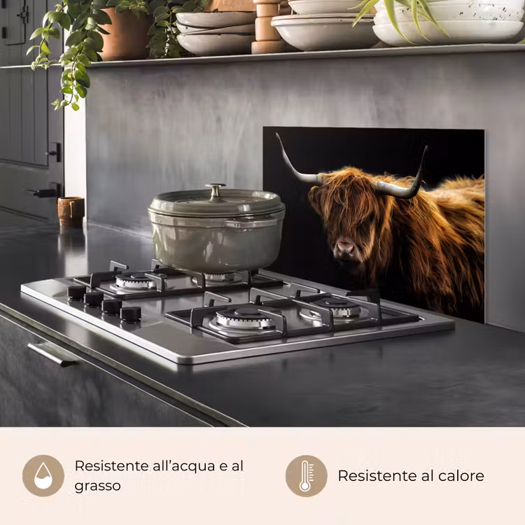 Paraschizzi cucina - Highlander scozzese - Corna - Nero - Animali - Natura - Selvaggio - Mucca — 2