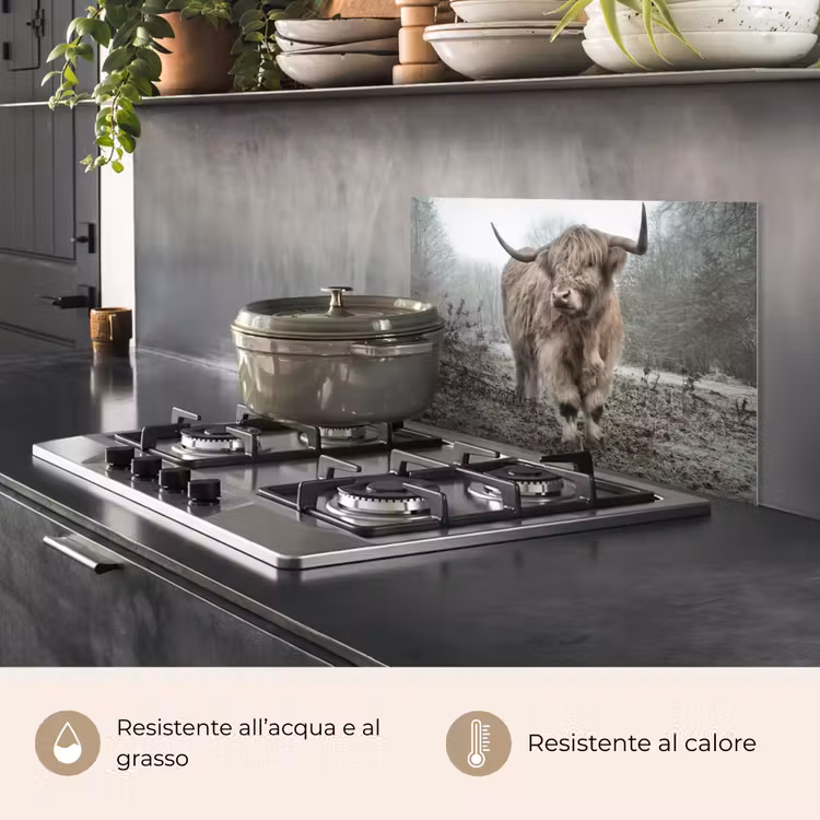 Paraschizzi cucina - Highlander scozzese - Foresta - Nebbia - Mucca - Animali - Natura — 2