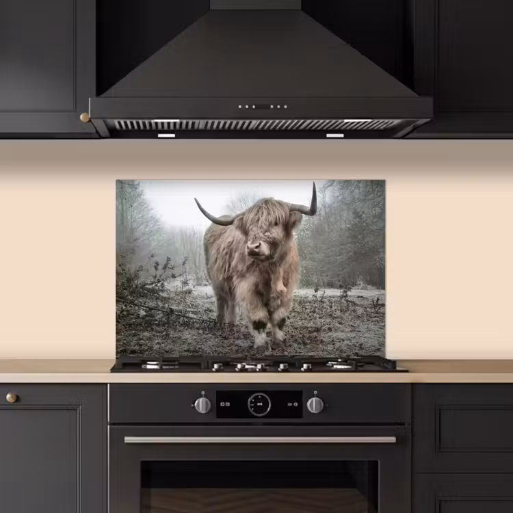 Paraschizzi cucina - Highlander scozzese - Foresta - Nebbia - Mucca - Animali - Natura — 5