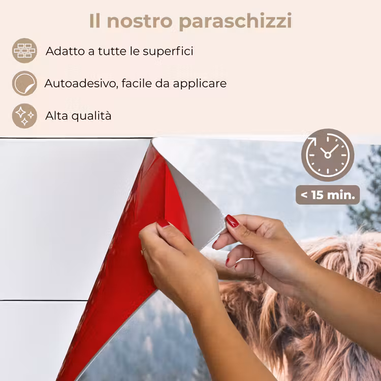 Paraschizzi cucina - Highlander scozzese - Mucca - Animali - Montagna - Natura — 4