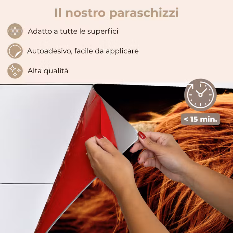 Paraschizzi cucina - Highlander scozzese - Mucca - Corna - Ritratto - Animali — 4
