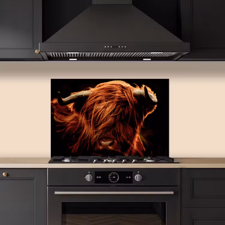 Paraschizzi cucina - Highlander scozzese - Mucca - Corna - Ritratto - Animali — 5