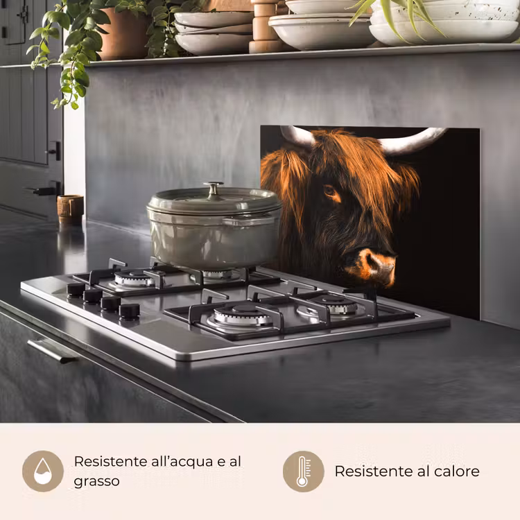 Paraschizzi cucina - Highlander scozzese - Nero - Mucca - Corno - Animali — 2