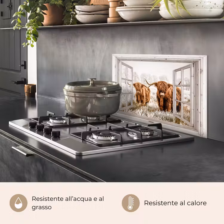 Paraschizzi cucina - Guardare attraverso - Highlander scozzese - Animali — 2