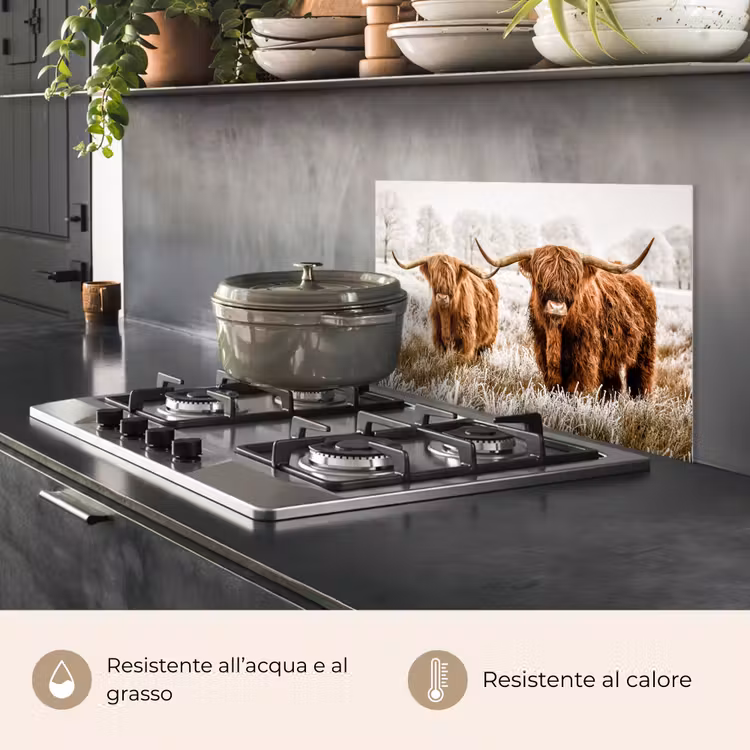 Paraschizzi cucina - Highlander scozzese - Mucca - Natura - Inverno — 2
