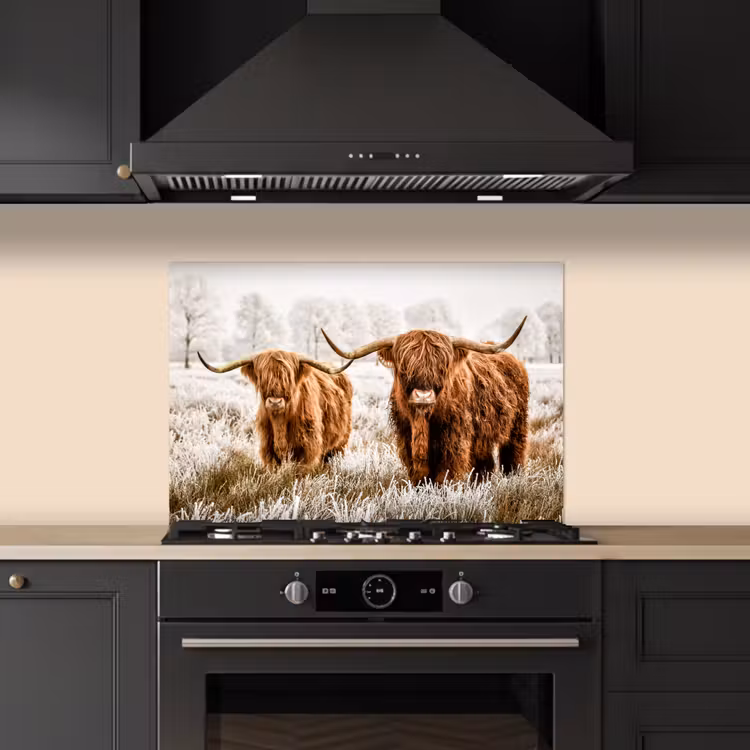 Paraschizzi cucina - Highlander scozzese - Mucca - Natura - Inverno — 5