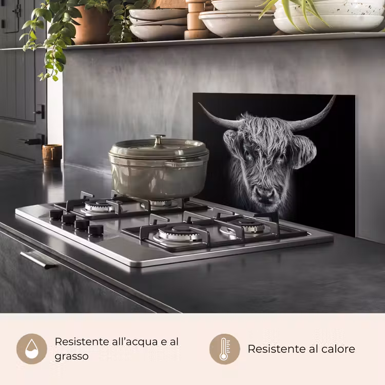 Paraschizzi cucina - Highlander scozzese - Nero - Mucca - Animali — 2