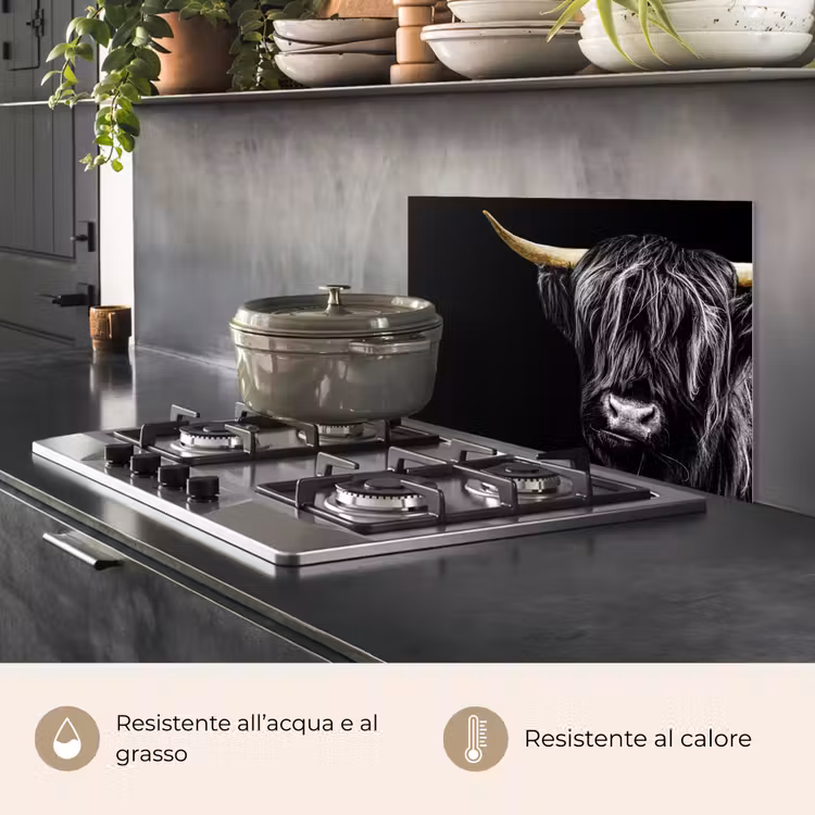 Paraschizzi cucina - Highlander scozzese - Oro - Cappotto - Animali - Mucca — 2
