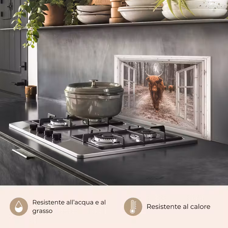 Paraschizzi cucina - Vista - Highlander scozzese - Finestra — 2