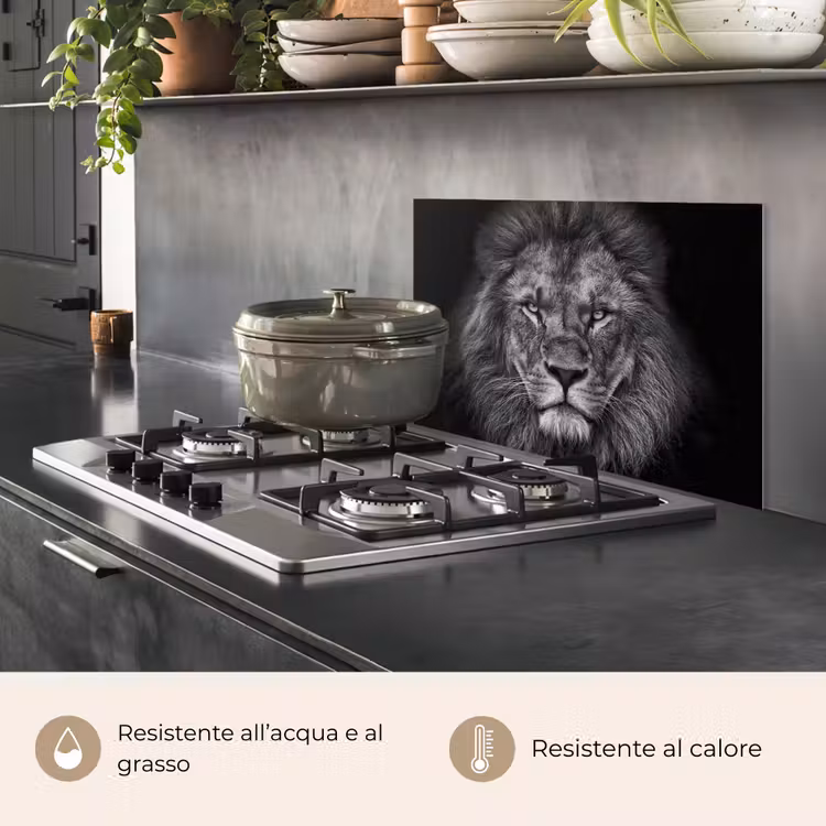 Paraschizzi cucina - Leone - Animali - Nero - Bianco — 2
