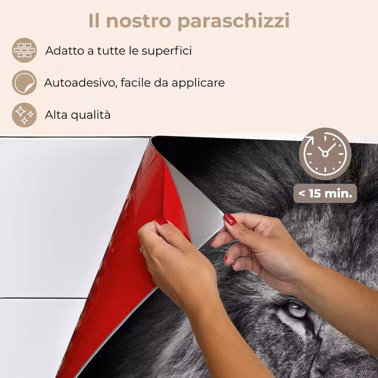 Paraschizzi cucina - Leone - Animali - Nero - Bianco — 4