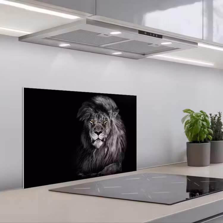 Paraschizzi cucina - Leone - Occhi - Arancio - Bianco e nero - Animali - Ritratto — 1