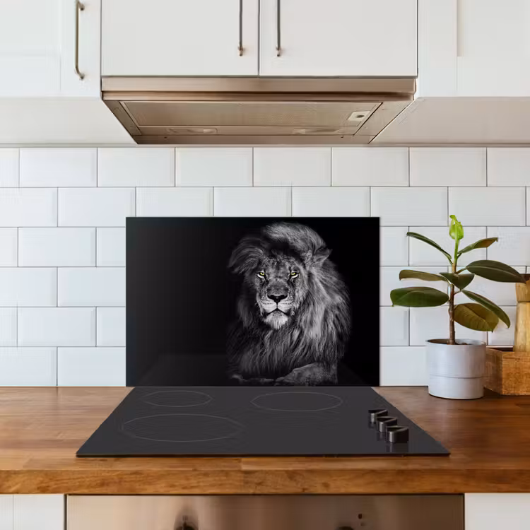 Paraschizzi cucina - Leone - Occhi - Arancio - Bianco e nero - Animali - Ritratto — 3