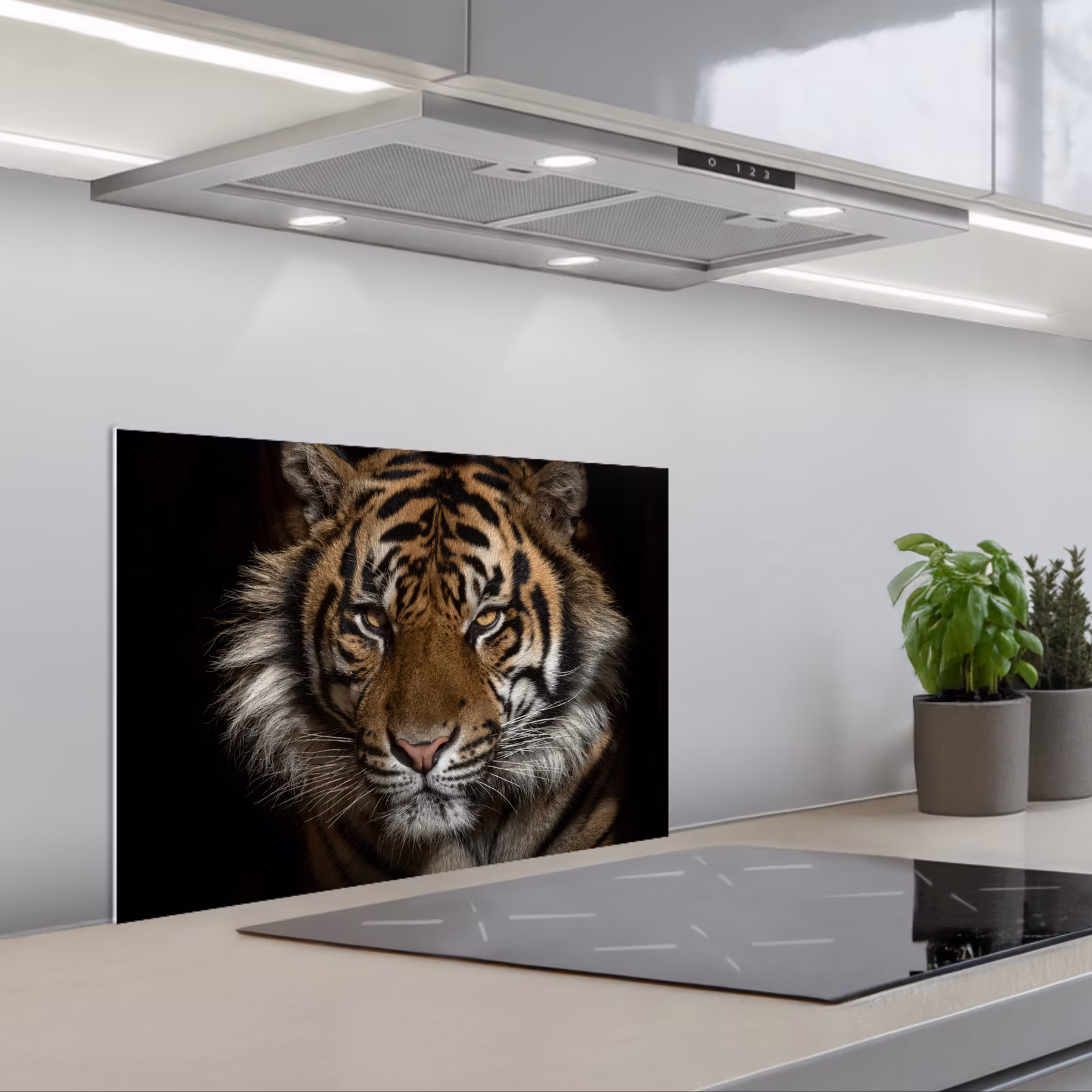 Paraschizzi cucina - Tigre - Animali selvatici - Ritratto — 1