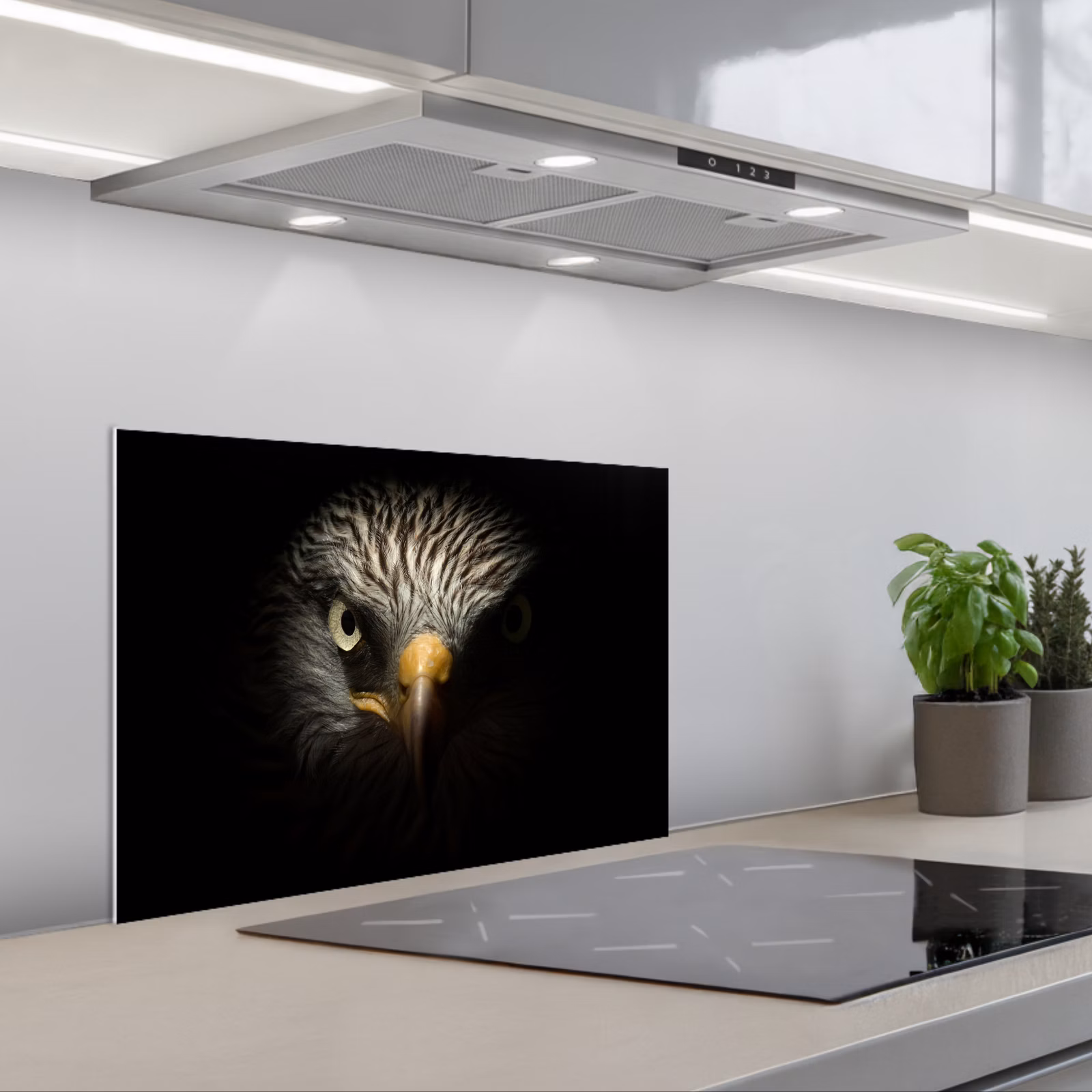Paraschizzi cucina - Uccello - Aquila - Uccelli rapaci - Occhio - Becco - Luce — 1
