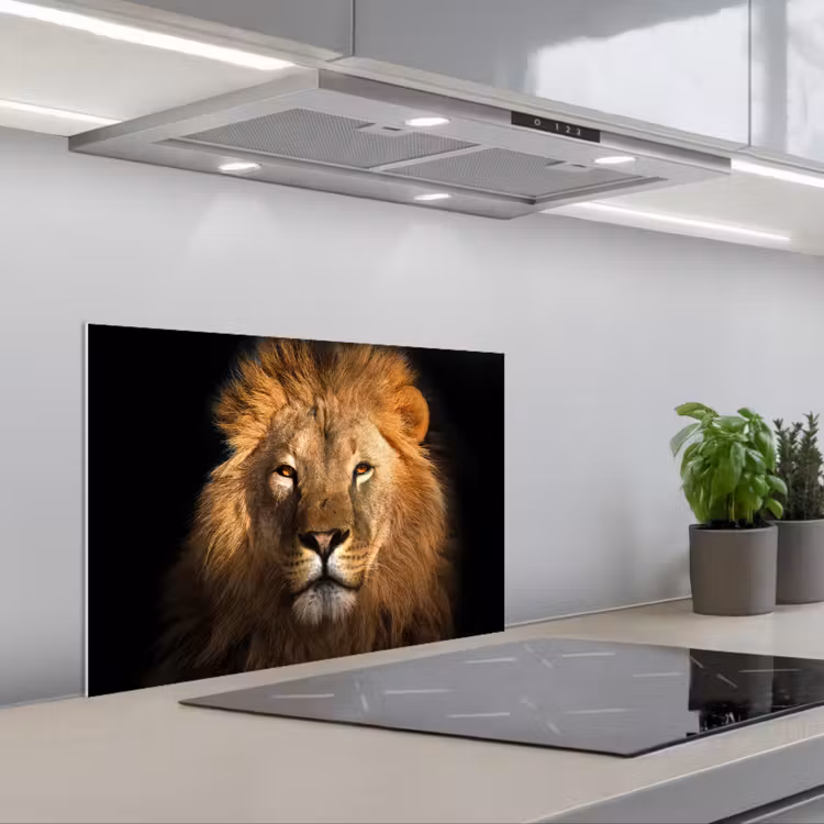 Paraschizzi cucina - Leone - Animali - Nero - Chiaro - Marrone - Ritratto — 1