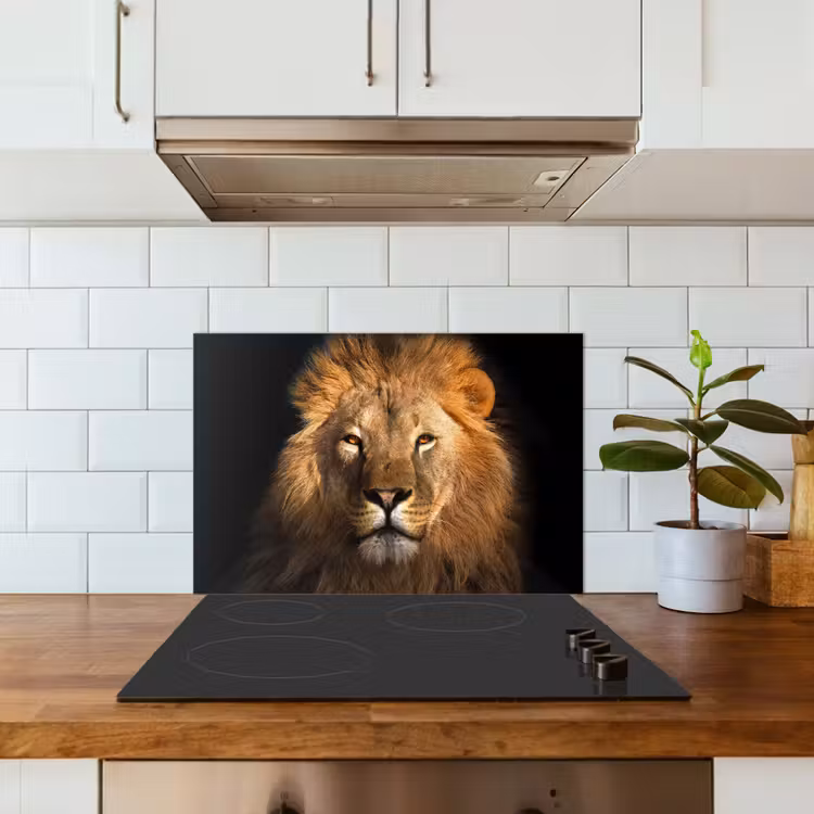 Paraschizzi cucina - Leone - Animali - Nero - Chiaro - Marrone - Ritratto — 3