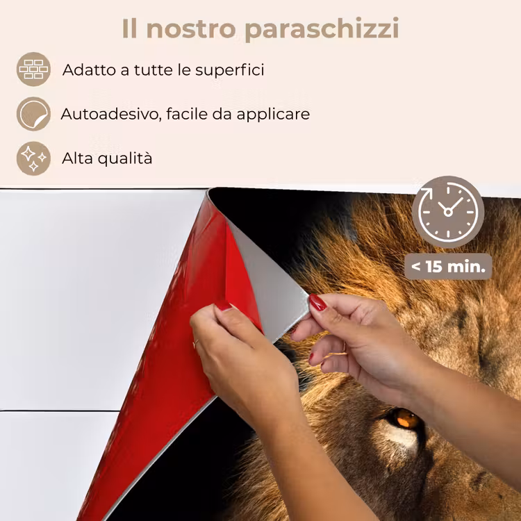 Paraschizzi cucina - Leone - Animali - Nero - Chiaro - Marrone - Ritratto — 4