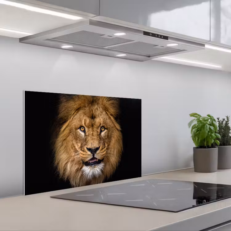Paraschizzi cucina - Leone - Ritratto - Nero - Animali — 1