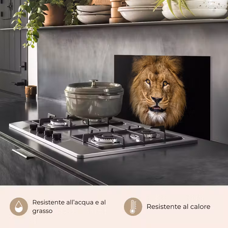 Paraschizzi cucina - Leone - Ritratto - Nero - Animali — 2