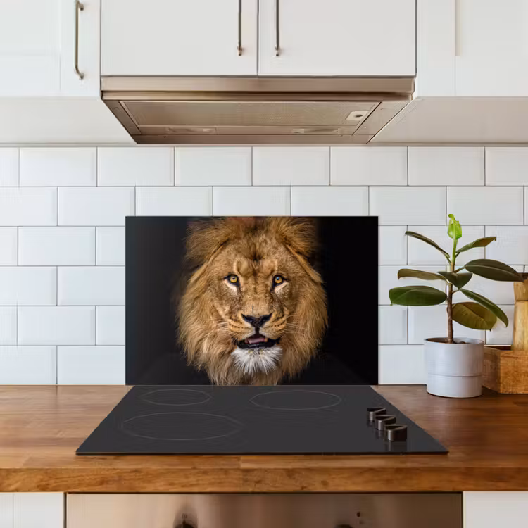 Paraschizzi cucina - Leone - Ritratto - Nero - Animali — 3