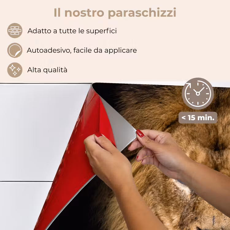Paraschizzi cucina - Leone - Ritratto - Nero - Animali — 4