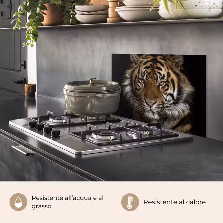 Paraschizzi cucina - Tigre - Animali selvatici - Ritratto — 2