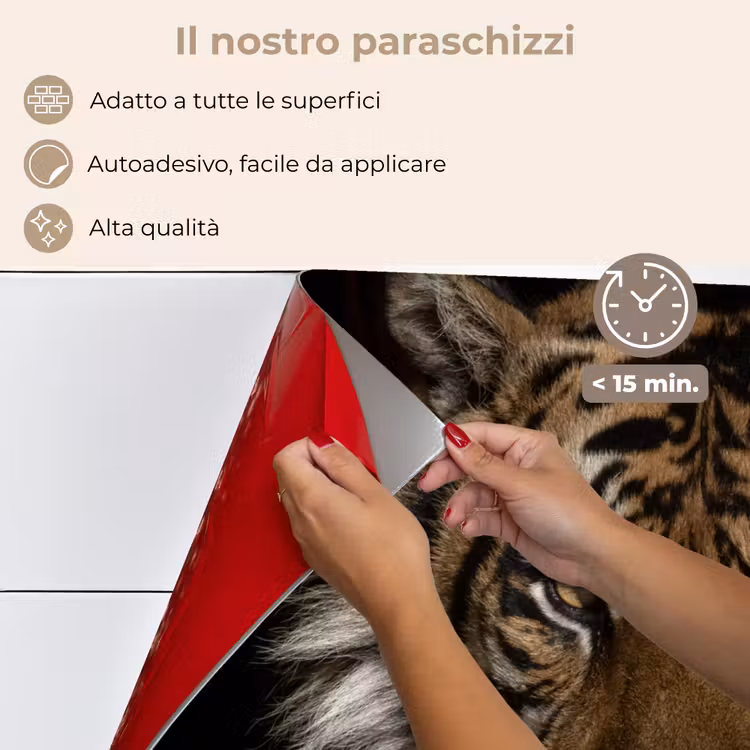 Paraschizzi cucina - Tigre - Animali selvatici - Ritratto — 4