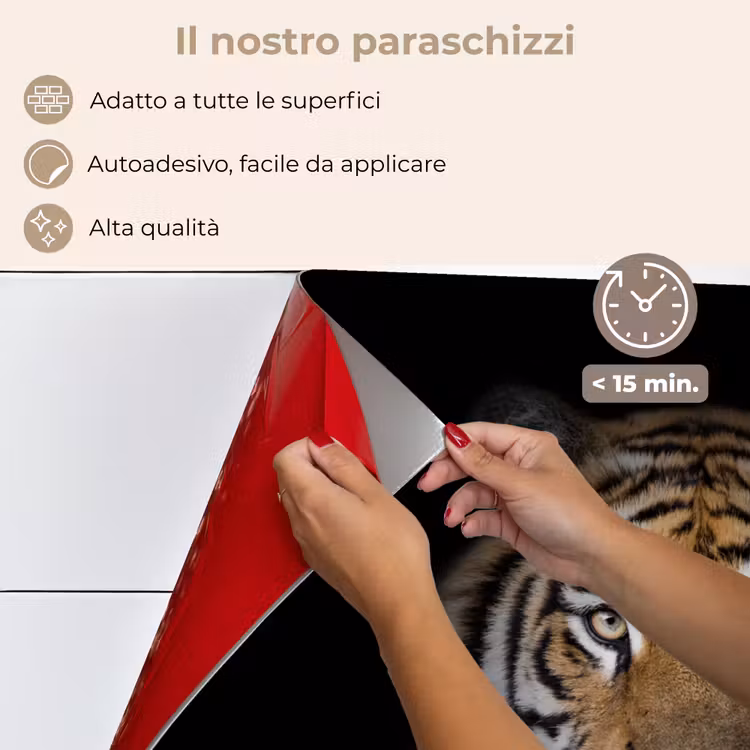 Paraschizzi cucina - Tigre - Fauna selvatica - Ritratto - Nero - Animali — 4