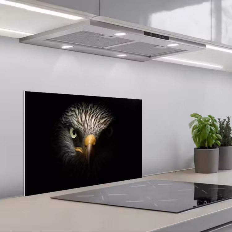 Paraschizzi cucina - Uccello - Aquila - Uccelli rapaci - Occhio - Becco - Luce — 1