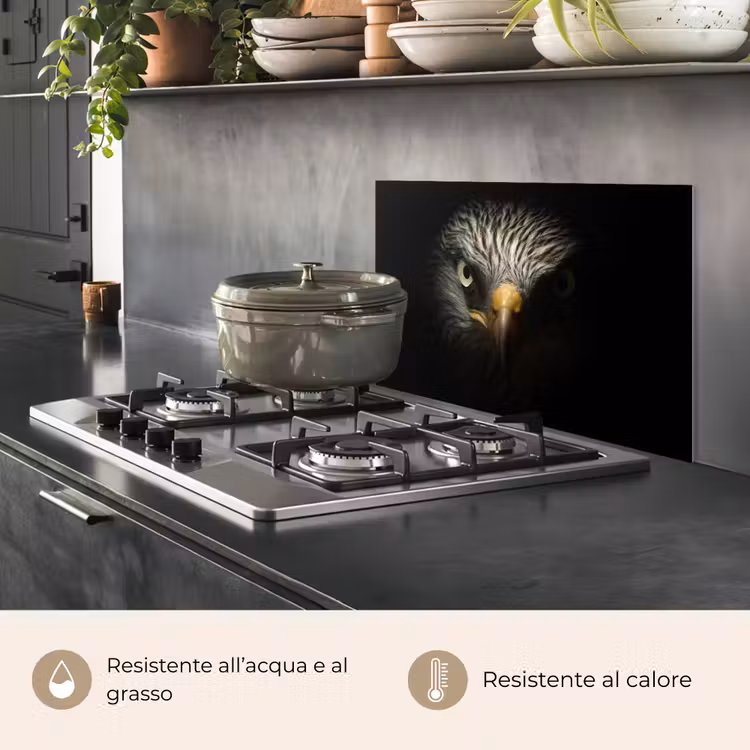 Paraschizzi cucina - Uccello - Aquila - Uccelli rapaci - Occhio - Becco - Luce — 2