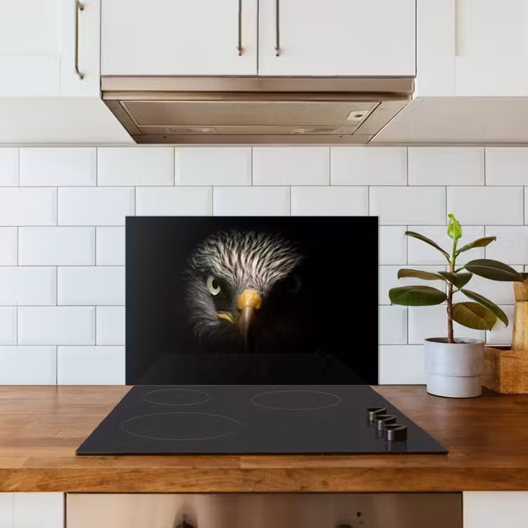 Paraschizzi cucina - Uccello - Aquila - Uccelli rapaci - Occhio - Becco - Luce — 3