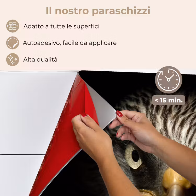 Paraschizzi cucina - Uccello - Aquila - Uccelli rapaci - Occhio - Becco - Luce — 4
