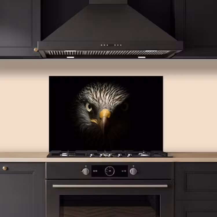 Paraschizzi cucina - Uccello - Aquila - Uccelli rapaci - Occhio - Becco - Luce — 5