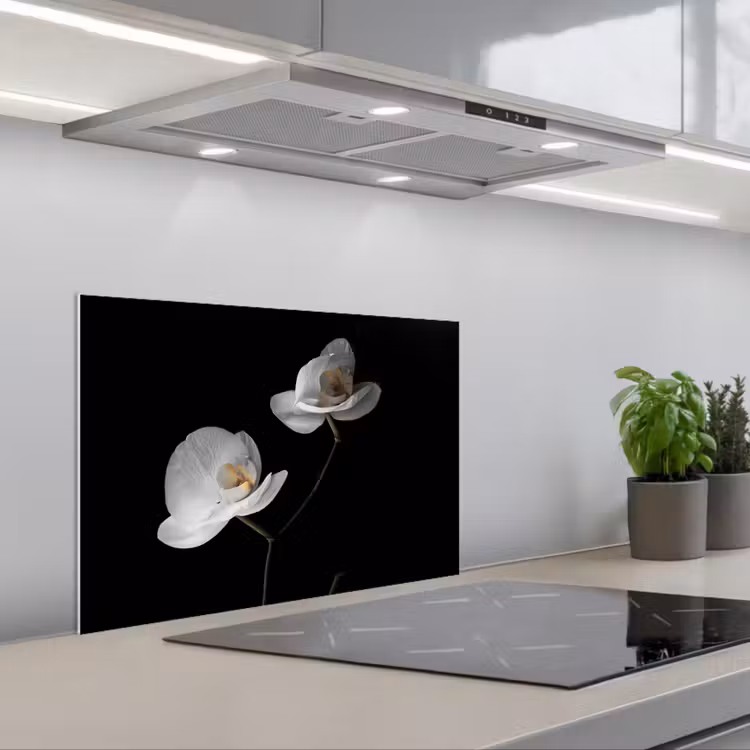 Paraschizzi cucina - Orchidea - Fiori - Nero - Bianco - Natura morta — 1