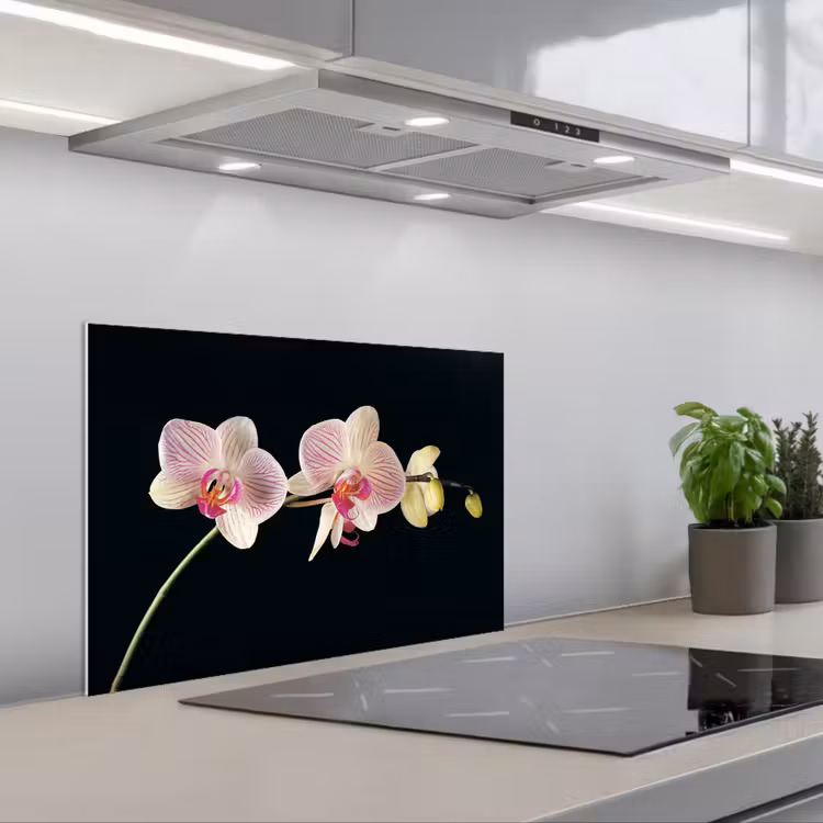 Paraschizzi cucina - Orchidea - Fiori - Nero - Rosa - Bottoni — 1