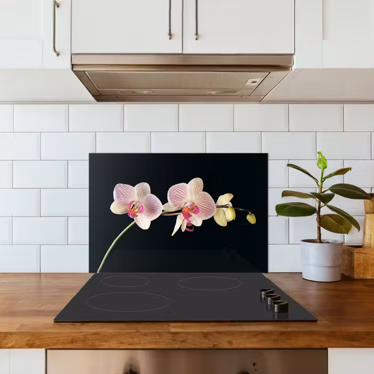 Paraschizzi cucina - Orchidea - Fiori - Nero - Rosa - Bottoni — 3